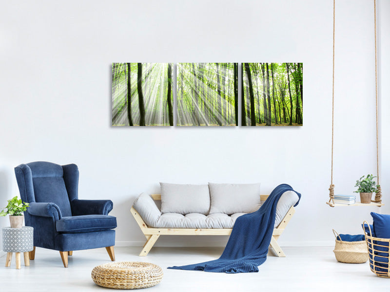 panoramic-3-piece-canvas-print-magic-light-in-the-trees