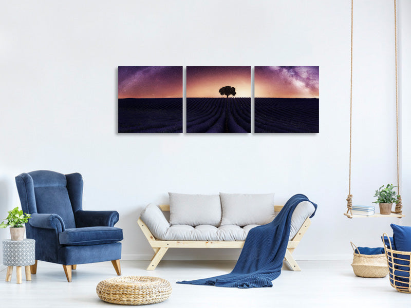 panoramic-3-piece-canvas-print-my-lavander