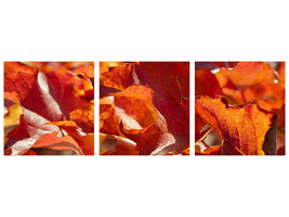 panoramic-3-piece-canvas-print-nice-autumn-leaves