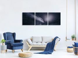 panoramic-3-piece-canvas-print-night-flight