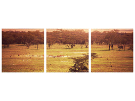 panoramic-3-piece-canvas-print-picturesque-africa