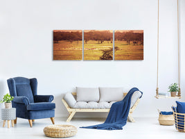 panoramic-3-piece-canvas-print-picturesque-africa