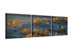 panoramic-3-piece-canvas-print-prairie-light