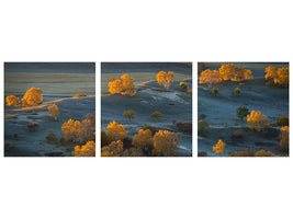 panoramic-3-piece-canvas-print-prairie-light