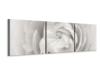 panoramic-3-piece-canvas-print-ranunculus