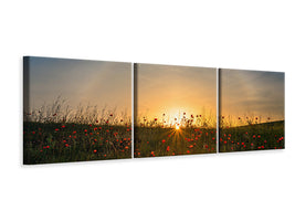 panoramic-3-piece-canvas-print-red-poppies-and-sunrise