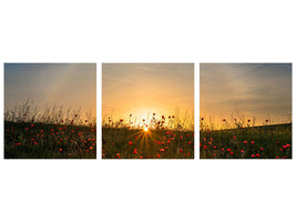 panoramic-3-piece-canvas-print-red-poppies-and-sunrise