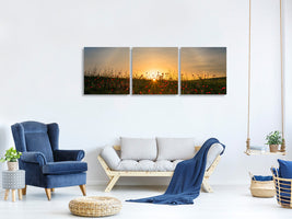 panoramic-3-piece-canvas-print-red-poppies-and-sunrise