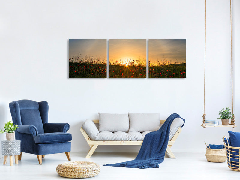 panoramic-3-piece-canvas-print-red-poppies-and-sunrise