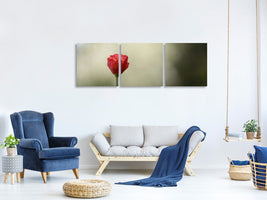 panoramic-3-piece-canvas-print-red-poppy