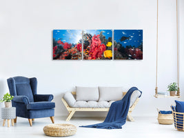 panoramic-3-piece-canvas-print-reef-life