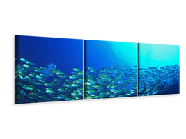 panoramic-3-piece-canvas-print-shoal-of-fish