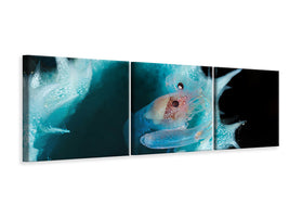 panoramic-3-piece-canvas-print-shrimp-in-a-blue-sponge