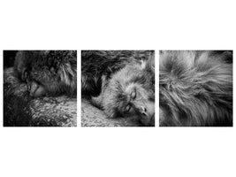 panoramic-3-piece-canvas-print-sleeping