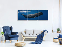 panoramic-3-piece-canvas-print-sperm-whale
