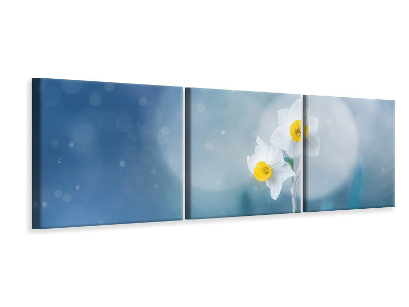 panoramic-3-piece-canvas-print-spirit-of-moment