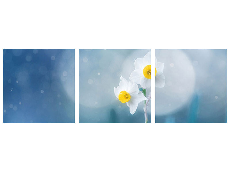 panoramic-3-piece-canvas-print-spirit-of-moment