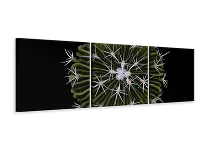 panoramic-3-piece-canvas-print-stenocactus