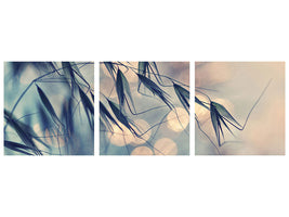 panoramic-3-piece-canvas-print-straws