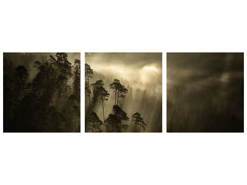 panoramic-3-piece-canvas-print-streiflichter