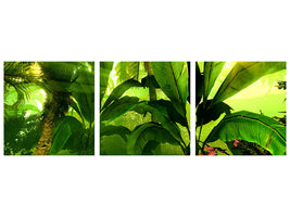 panoramic-3-piece-canvas-print-sunrise-in-the-rainforest