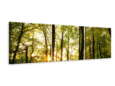 panoramic-3-piece-canvas-print-sunset-between-trees