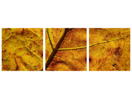 panoramic-3-piece-canvas-print-the-autumn-leaf