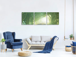 panoramic-3-piece-canvas-print-the-avenue