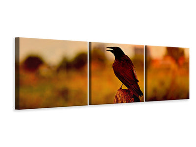 panoramic-3-piece-canvas-print-the-crow-in-the-evening-light