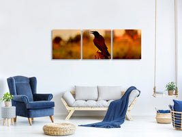 panoramic-3-piece-canvas-print-the-crow-in-the-evening-light