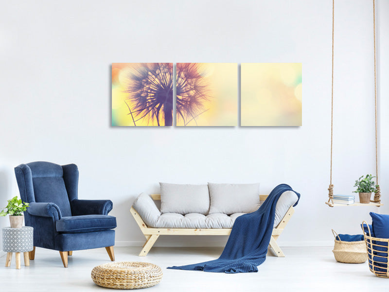 panoramic-3-piece-canvas-print-the-dandelion-in-the-light