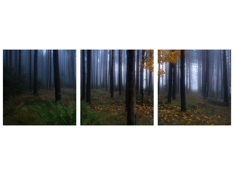 panoramic-3-piece-canvas-print-the-dark-light