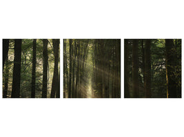 panoramic-3-piece-canvas-print-the-essential