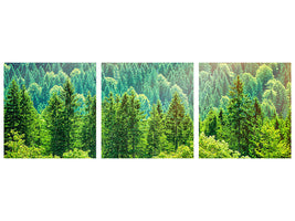 panoramic-3-piece-canvas-print-the-forest-hill