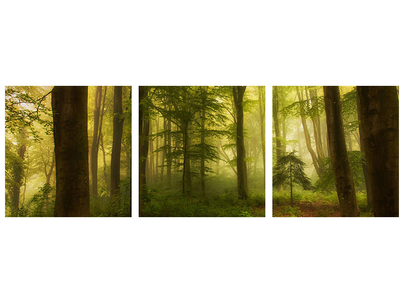 panoramic-3-piece-canvas-print-the-little-tree