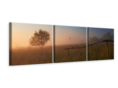 panoramic-3-piece-canvas-print-the-summer-field