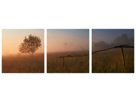 panoramic-3-piece-canvas-print-the-summer-field