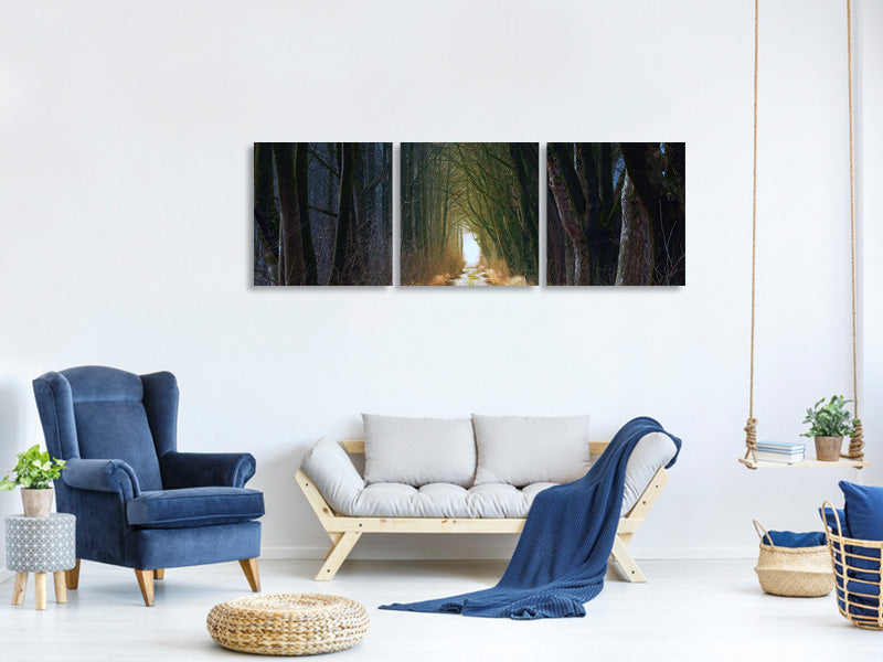 panoramic-3-piece-canvas-print-the-tree-avenue