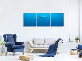 panoramic-3-piece-canvas-print-the-whale-shark