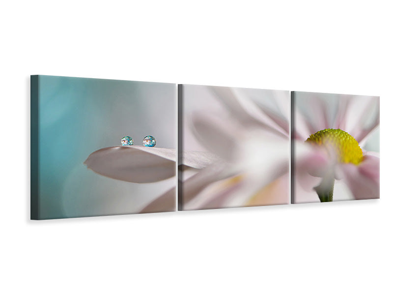 panoramic-3-piece-canvas-print-tiny-duo