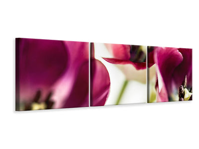 panoramic-3-piece-canvas-print-tulip-iv