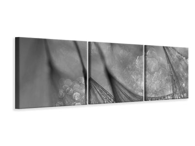 panoramic-3-piece-canvas-print-untitled-xix