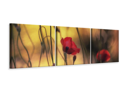 panoramic-3-piece-canvas-print-untitled-xvi-p