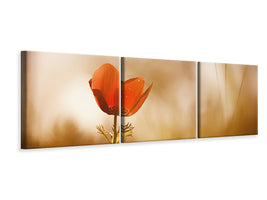 panoramic-3-piece-canvas-print-untitled-xxxi