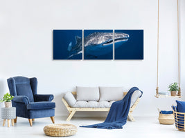 panoramic-3-piece-canvas-print-whale-shark