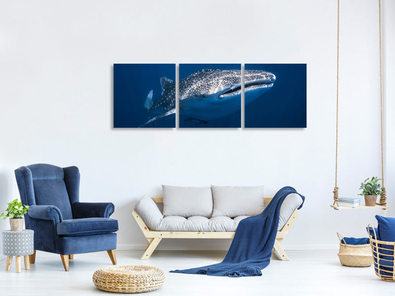 panoramic-3-piece-canvas-print-whale-shark