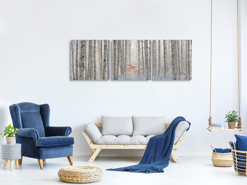 panoramic-3-piece-canvas-print-white