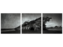 panoramic-3-piece-canvas-print-wind-blown