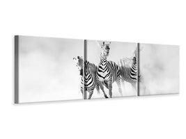 panoramic-3-piece-canvas-print-zebras