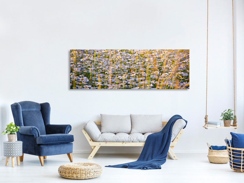 panoramic-canvas-print-a-field-full-of-camomile